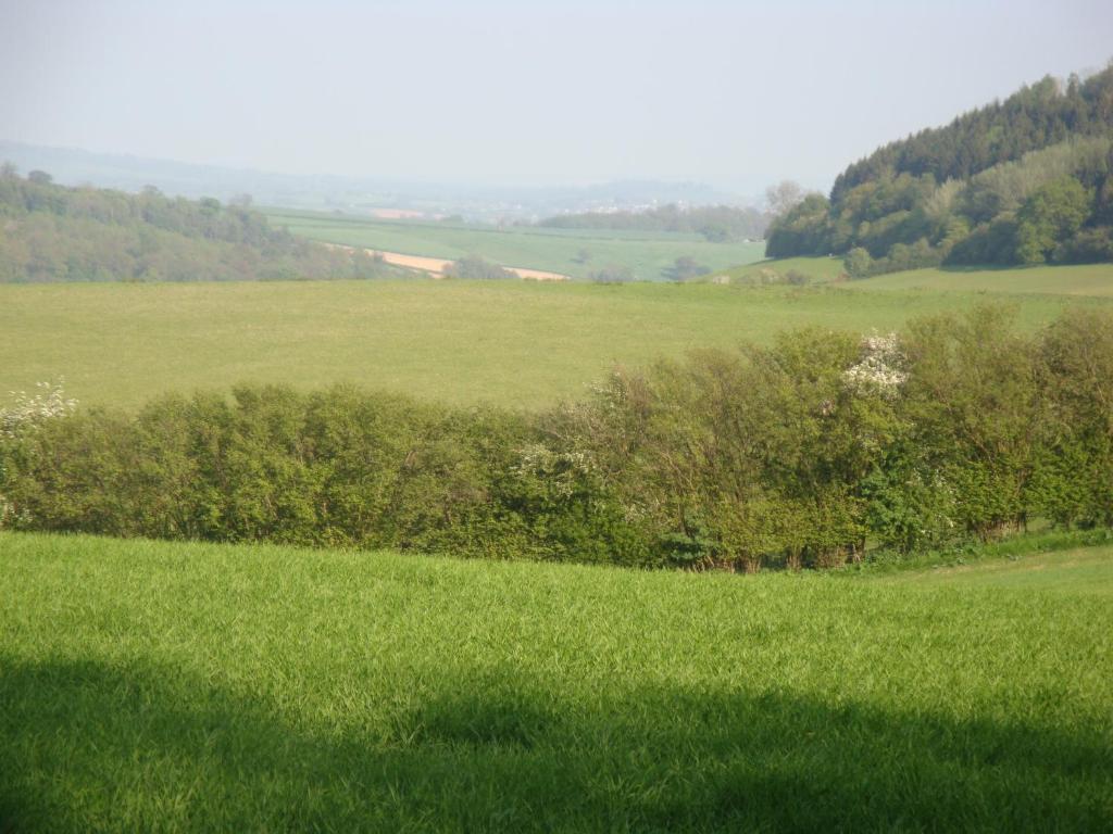 Stokesay Inn Craven Arms Bagian luar foto